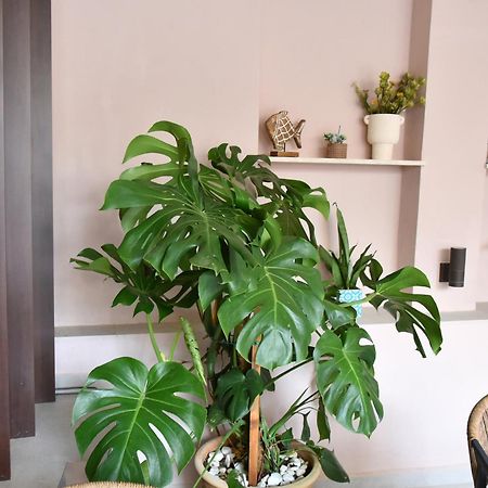 干尼亞 Casa Enetiko酒店 外观 照片